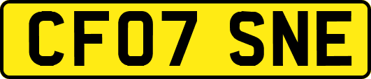 CF07SNE