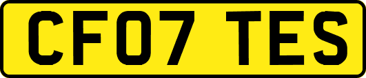 CF07TES