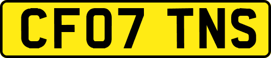 CF07TNS