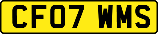 CF07WMS