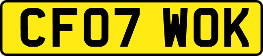 CF07WOK
