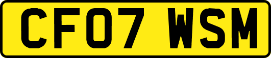 CF07WSM