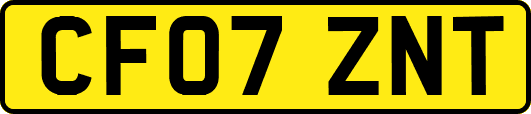 CF07ZNT