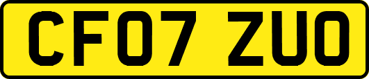 CF07ZUO