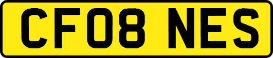 CF08NES