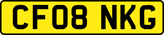 CF08NKG