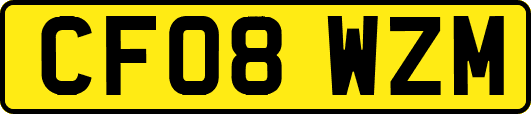 CF08WZM