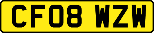 CF08WZW