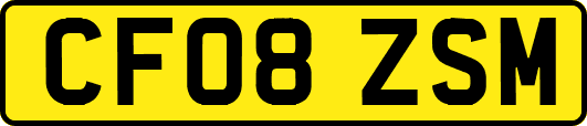 CF08ZSM