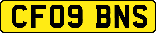 CF09BNS