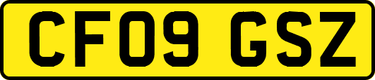 CF09GSZ