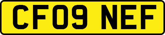 CF09NEF