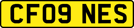 CF09NES