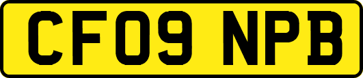 CF09NPB
