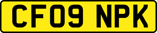 CF09NPK
