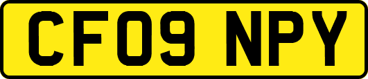 CF09NPY