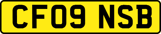 CF09NSB