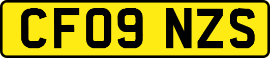 CF09NZS