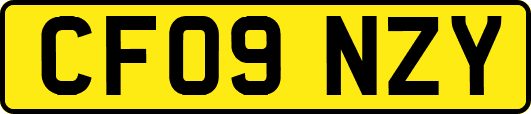 CF09NZY