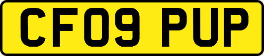 CF09PUP