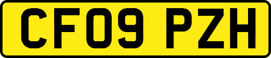 CF09PZH