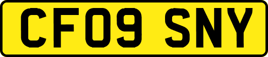 CF09SNY