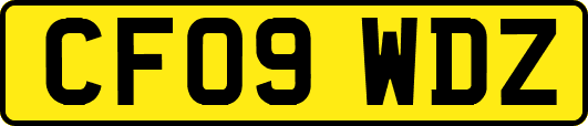 CF09WDZ