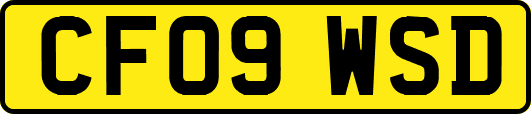 CF09WSD