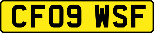 CF09WSF