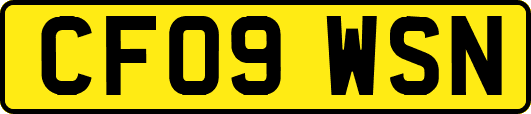 CF09WSN
