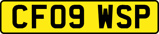 CF09WSP