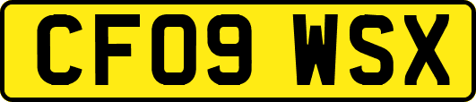 CF09WSX