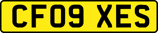 CF09XES