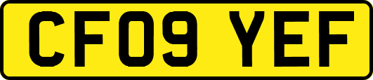 CF09YEF