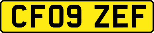 CF09ZEF