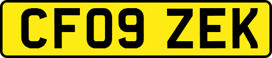 CF09ZEK