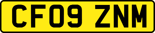 CF09ZNM