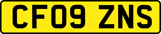 CF09ZNS