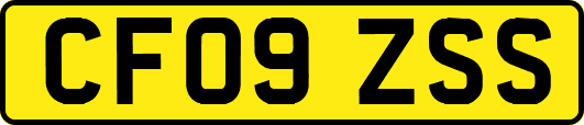 CF09ZSS