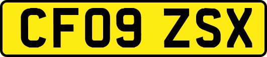 CF09ZSX