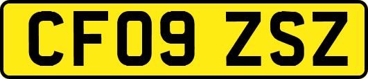 CF09ZSZ