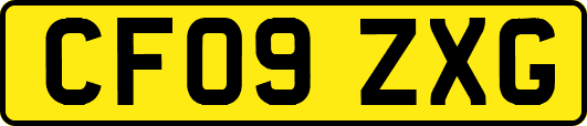 CF09ZXG