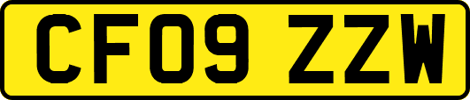 CF09ZZW