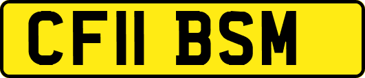 CF11BSM