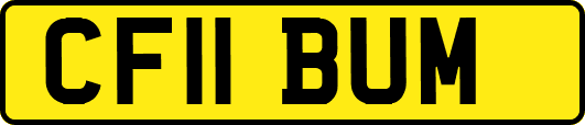 CF11BUM