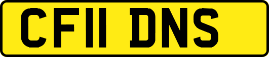 CF11DNS
