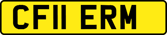 CF11ERM