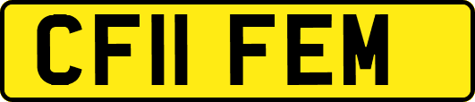 CF11FEM