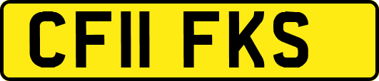 CF11FKS