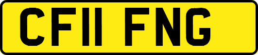 CF11FNG